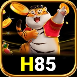 Panduan Lengkap Aplikasi h85 untuk Pemula